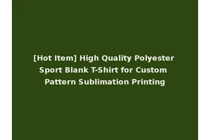 [Hot Item] High Quality Polyester Sport Blank T-Shirt for Custom Pattern Sublimation Printing