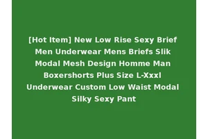 [Hot Item] New Low Rise Sexy Brief Men Underwear Mens Briefs Slik Modal Mesh Design Homme Man Boxershorts Plus Size L-Xxxl Underwear Custom Low Waist Modal Silky Sexy Pant