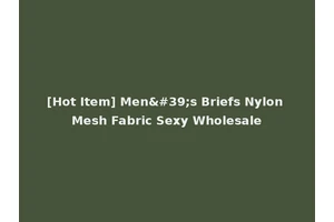 [Hot Item] Men's Briefs Nylon Mesh Fabric Sexy Wholesale