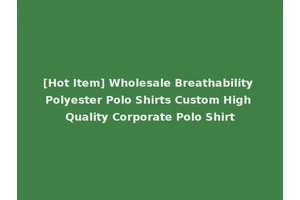 [Hot Item] Wholesale Breathability Polyester Polo Shirts Custom High Quality Corporate Polo Shirt