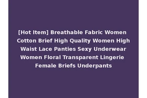[Hot Item] Breathable Fabric Women Cotton Brief High Quality Women High Waist Lace Panties Sexy Underwear Women Floral Transparent Lingerie Female Briefs Underpants