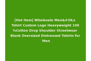 [Hot Item] Wholesale Men's Tshirt Custom Logo Heavyweight 100%Cotton Drop Shoulder Streetwear Blank Oversized Distressed Tshirts for Men