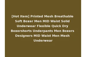 [Hot Item] Printed Mesh Breathable Soft Boxer Men MID Waist Solid Underwear Flexible Quick Dry Boxershorts Underpants Men Boxers Designers MID Waist Men Mesh Underwear