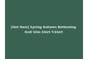 [Hot Item] Spring Autumn Bottoming Knit Slim Shirt T-Shirt