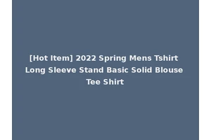 [Hot Item] 2022 Spring Mens Tshirt Long Sleeve Stand Basic Solid Blouse Tee Shirt