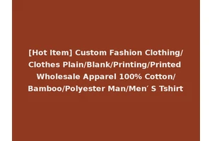 [Hot Item] Custom Fashion Clothing/Clothes Plain/Blank/Printing/Printed Wholesale Apparel 100% Cotton/Bamboo/Polyester Man/Men′ S Tshirt