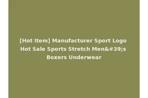 [Hot Item] Manufacturer Sport Logo Hot Sale Sports Stretch Men's Boxers Underwear