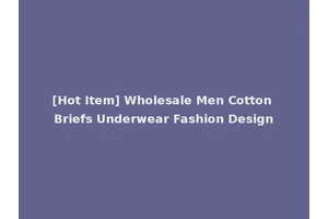 [Hot Item] Wholesale Men Cotton Briefs Underwear Fashion Design