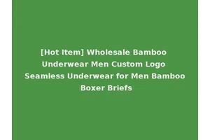 [Hot Item] Wholesale Bamboo Underwear Men Custom Logo Seamless Underwear for Men Bamboo Boxer Briefs
