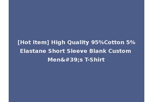 [Hot Item] High Quality 95%Cotton 5%Elastane Short Sleeve Blank Custom Men's T-Shirt