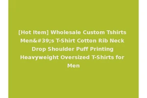 [Hot Item] Wholesale Custom Tshirts Men's T-Shirt Cotton Rib Neck Drop Shoulder Puff Printing Heavyweight Oversized T-Shirts for Men
