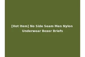 [Hot Item] No Side Seam Men Nylon Underwear Boxer Briefs