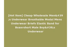 [Hot Item] Cheap Wholesale Men's Underwear Breathable Modal Mens Underwear Briefs Elastic Band for Boxershort Male Boy's Underwear