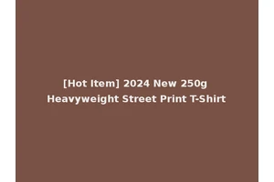 [Hot Item] 2024 New 250g Heavyweight Street Print T-Shirt