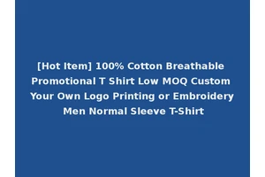 [Hot Item] 100% Cotton Breathable Promotional T Shirt Low MOQ Custom Your Own Logo Printing or Embroidery Men Normal Sleeve T-Shirt