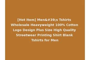 [Hot Item] Men's Tshirts Wholesale Heavyweight 100% Cotton Logo Design Plus Size High Quality Streetwear Printing Shirt Blank Tshirts for Men