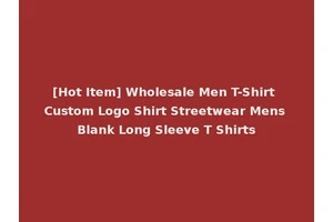 [Hot Item] Wholesale Men T-Shirt Custom Logo Shirt Streetwear Mens Blank Long Sleeve T Shirts