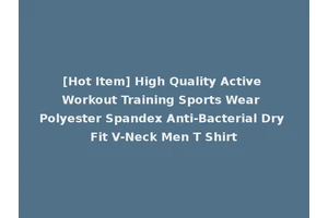 [Hot Item] High Quality Active Workout Training Sports Wear Polyester Spandex Anti-Bacterial Dry Fit V-Neck Men T Shirt
