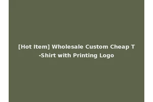[Hot Item] Wholesale Custom Cheap T-Shirt with Printing Logo