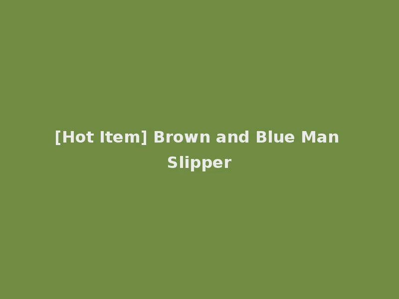 [Hot Item] Brown and Blue Man Slipper