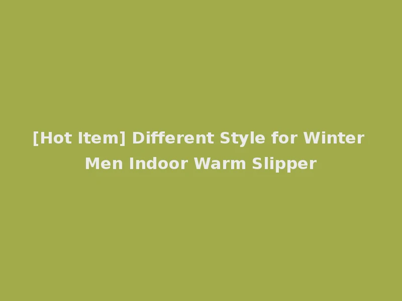[Hot Item] Different Style for Winter Men Indoor Warm Slipper