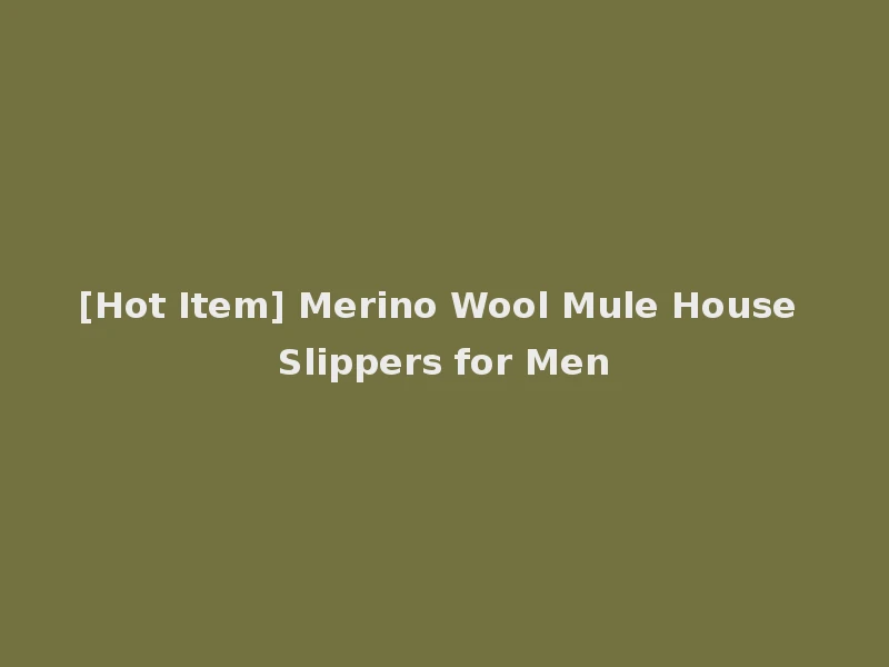 [Hot Item] Merino Wool Mule House Slippers for Men