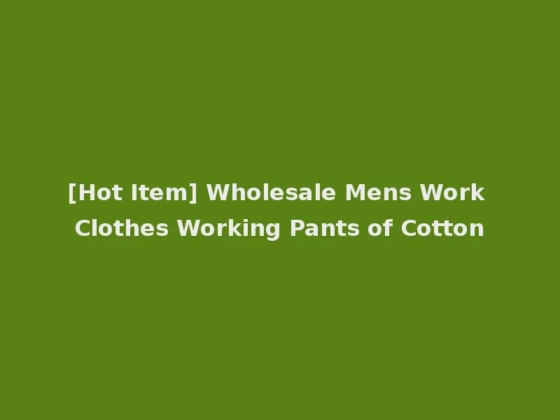 [Hot Item] Wholesale Mens Work Clothes Working Pants of Cotton
