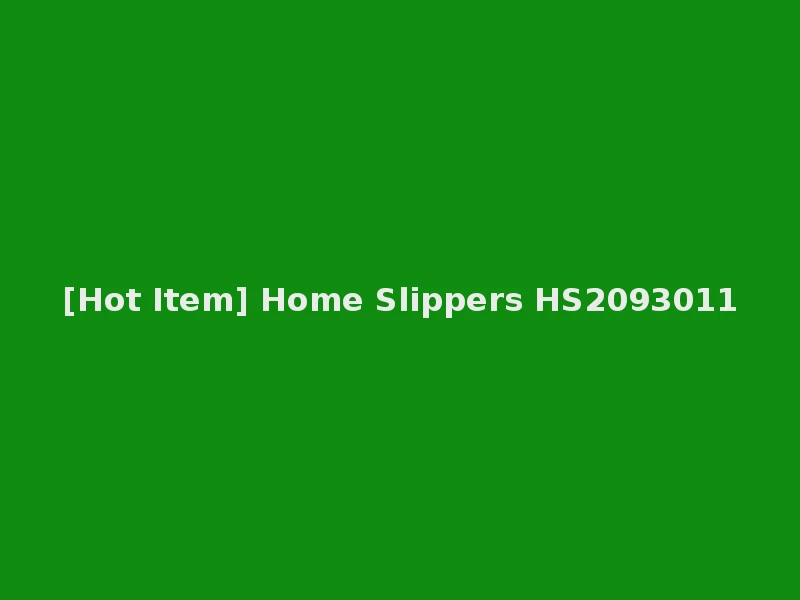 [Hot Item] Home Slippers HS2093011