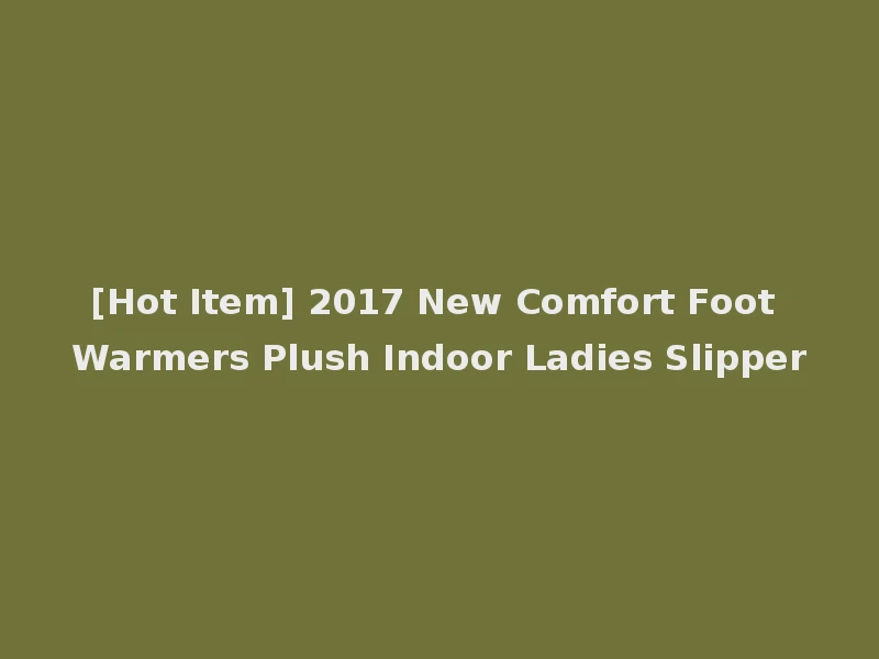 [Hot Item] 2017 New Comfort Foot Warmers Plush Indoor Ladies Slipper