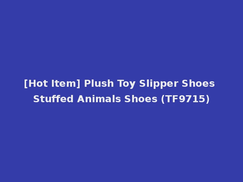 [Hot Item] Plush Toy Slipper Shoes Stuffed Animals Shoes (TF9715)