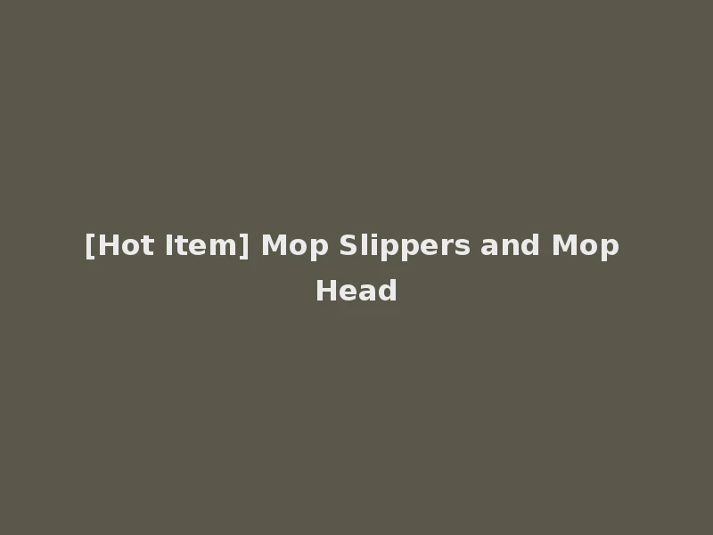 [Hot Item] Mop Slippers and Mop Head