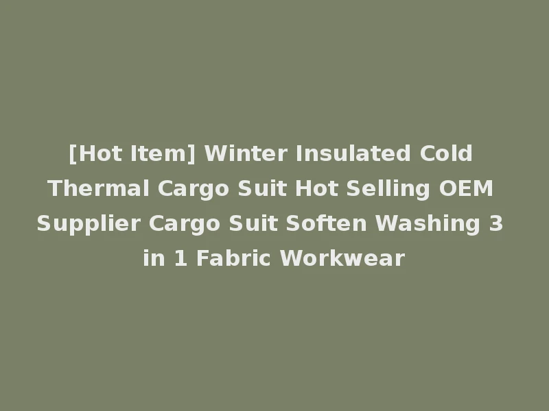 [Hot Item] Winter Insulated Cold Thermal Cargo Suit Hot Selling OEM Supplier Cargo Suit Soften Washing 3 in 1 Fabric Workwear