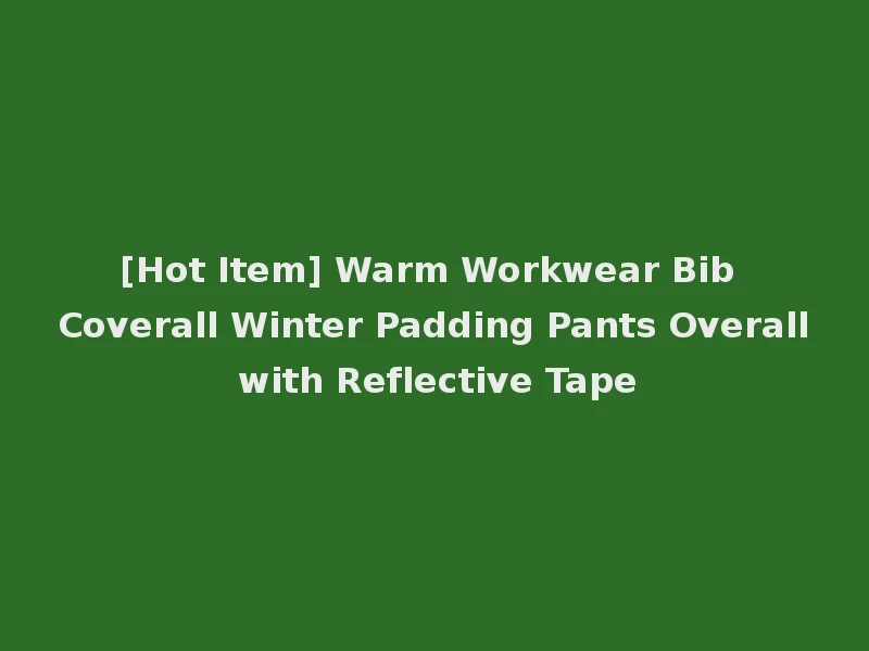 [Hot Item] Warm Workwear Bib Coverall Winter Padding Pants Overall with Reflective Tape
