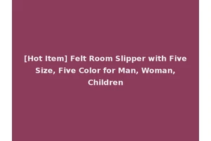 [Hot Item] Felt Room Slipper with Five Size, Five Color for Man, Woman, Children
