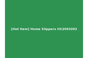 [Hot Item] Home Slippers HS2093003