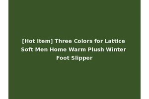 [Hot Item] Three Colors for Lattice Soft Men Home Warm Plush Winter Foot Slipper