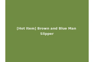 [Hot Item] Brown and Blue Man Slipper