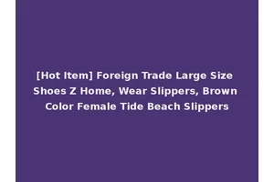 [Hot Item] Foreign Trade Large Size Shoes Z Home, Wear Slippers, Brown Color Female Tide Beach Slippers