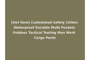 [Hot Item] Customized Safety Cotton Waterproof Durable Multi Pockets Outdoor Tactical Tooling Men Work Cargo Pants