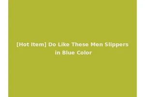 [Hot Item] Do Like These Men Slippers in Blue Color