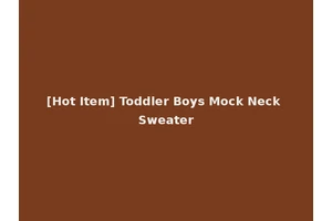 [Hot Item] Toddler Boys Mock Neck Sweater