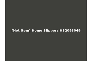 [Hot Item] Home Slippers HS2093049