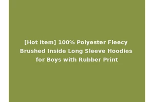 [Hot Item] 100% Polyester Fleecy Brushed Inside Long Sleeve Hoodies for Boys with Rubber Print