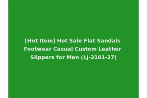 [Hot Item] Hot Sale Flat Sandals Footwear Casual Custom Leather Slippers for Men (LJ-2101-27)
