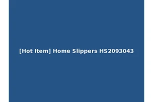 [Hot Item] Home Slippers HS2093043