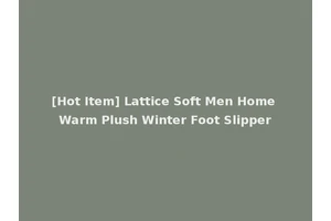 [Hot Item] Lattice Soft Men Home Warm Plush Winter Foot Slipper