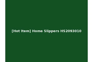 [Hot Item] Home Slippers HS2093010