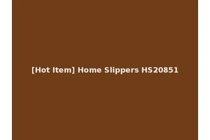 [Hot Item] Home Slippers HS20851