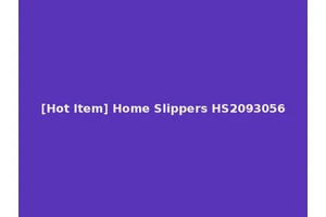 [Hot Item] Home Slippers HS2093056