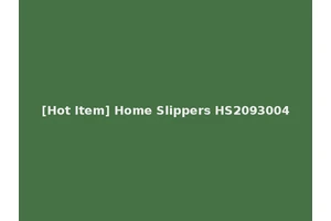 [Hot Item] Home Slippers HS2093004